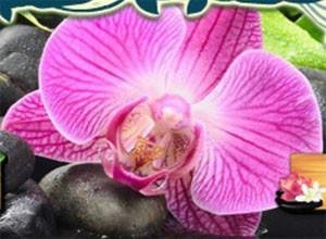 لعبة الاوراق الصينيه