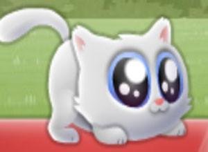 لعبة القطه الشقيه